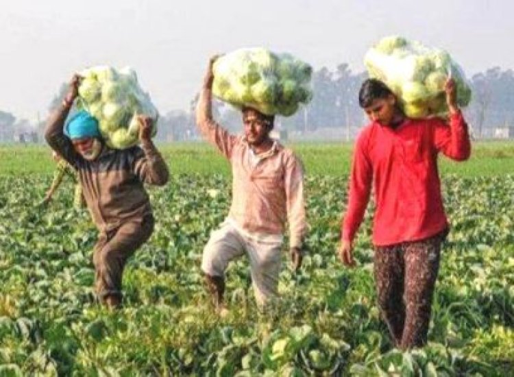 नवाचार से उत्तर प्रदेश के किसान हो रहे समृद्ध