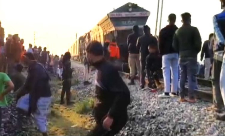 राजधानी एक्सप्रेस से टकरा     कर सात हाथियों की मौत