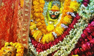 नव वर्ष पर विंध्याचल धाम में उमड़ा श्रद्धा का जनसैलाब