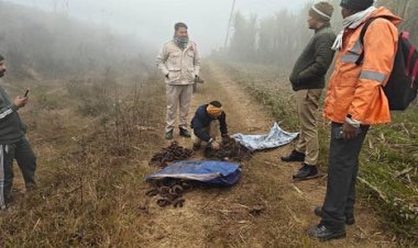 डीएफसी अंबाला में ईआरसी चोरी का पर्दाफाश, चार गिरफ्तार