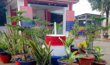 अज्ञात वाहन की टक्कर से ट्राली चालक की मौत