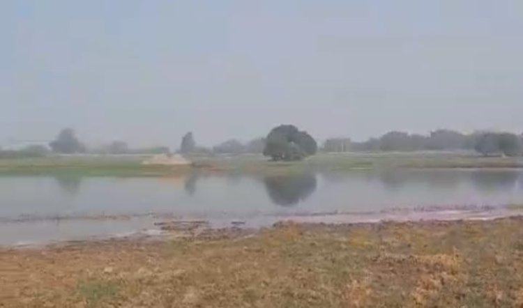 बाणसागर का पानी छोड़े जाने से किसानों की फसल डूबी  मुआवजे की मांग