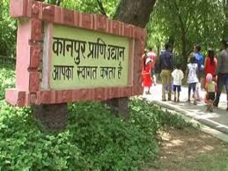 कानपुर चिड़ियाघर में तिरुपति से आए मादा ढोल का निधन, जांच के लिए बरेली भेजे गए नमूने