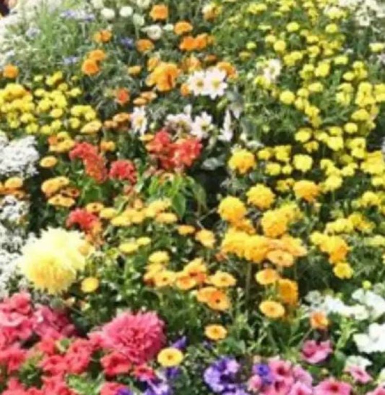 फरवरी में आयोजित की जाएगी तीन दिवसीय शाकभाजी एवं पुष्प प्रदर्शनी