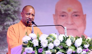 डॉग बाइट की बढ़ती घटनाओं पर योगी सरकार गंभीर : आवारा कुत्तों से निजात दिलाएंगे शेल्टर होम व एबीसी सेंटर