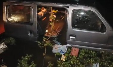 वैन तालाब में गिरी, मासूम समेत चार की मौत