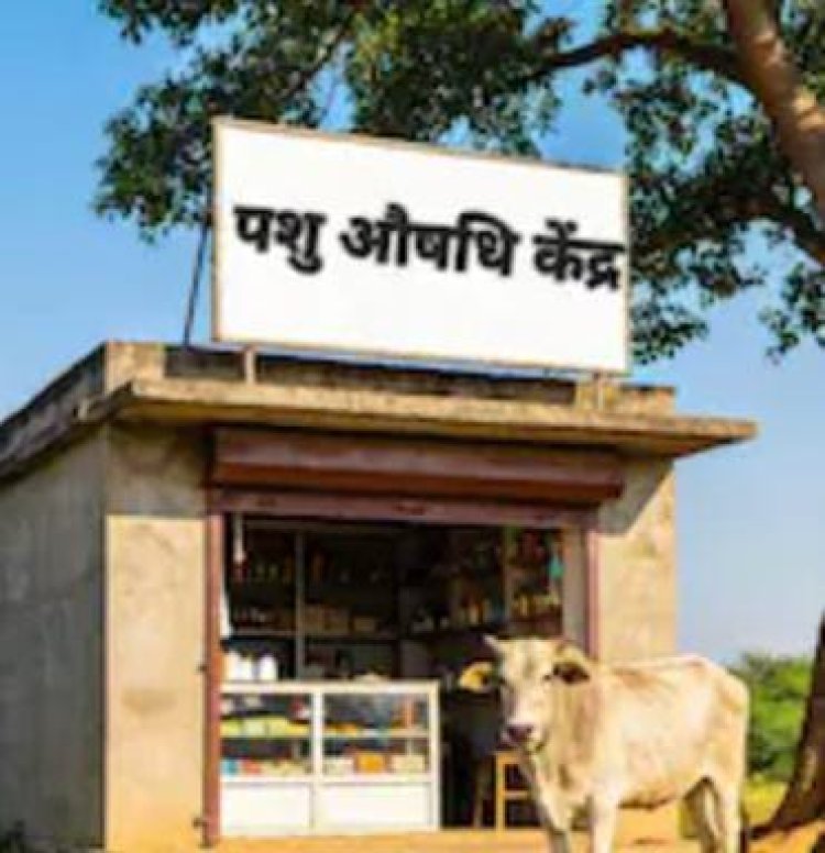 उत्तर प्रदेश के प्रत्येक राजस्व ब्लाक में स्थापित होंगे पशुऔषधि केंद्र, आनलाइन करें आवेदन