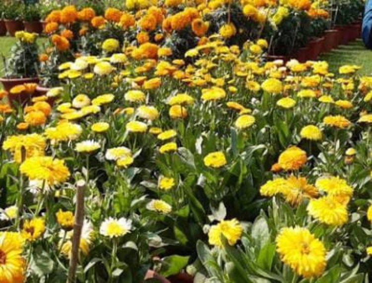 राजकीय उद्यान चन्द्रशेखर आजाद पार्क में आयोजित होगी तीन दिवसीय पुष्प एवं शाकभाजी प्रदर्शनी