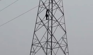 प्रेमी से शादी की जिद में हाईटेंशन पोल पर चढ़ी युवती, पुलिस ने समझाकर उतारा