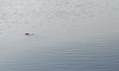 कानपुर में लापता 14 वर्षीय किशोर का शव झील में मिला