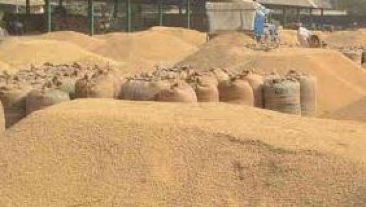 यूपी में लक्ष्य से अधिक धान खरीद, किसानों को 14,886 करोड़ रुपये का भुगतान