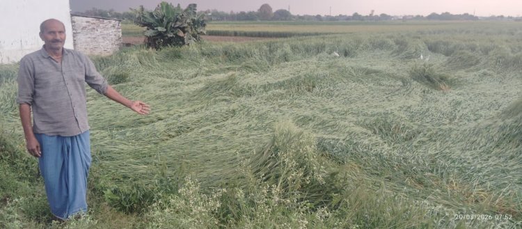 आकाशीय बिजली की चपेट में आया किसान,झुलसा