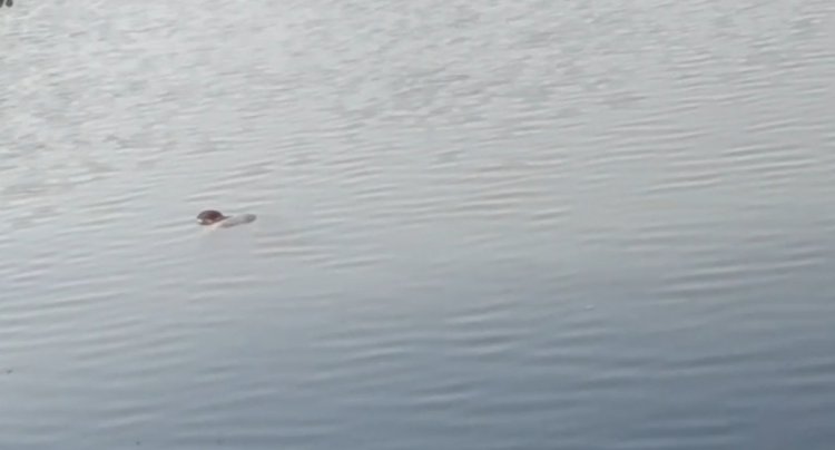 कानपुर में लापता 14 वर्षीय किशोर का शव झील में मिला