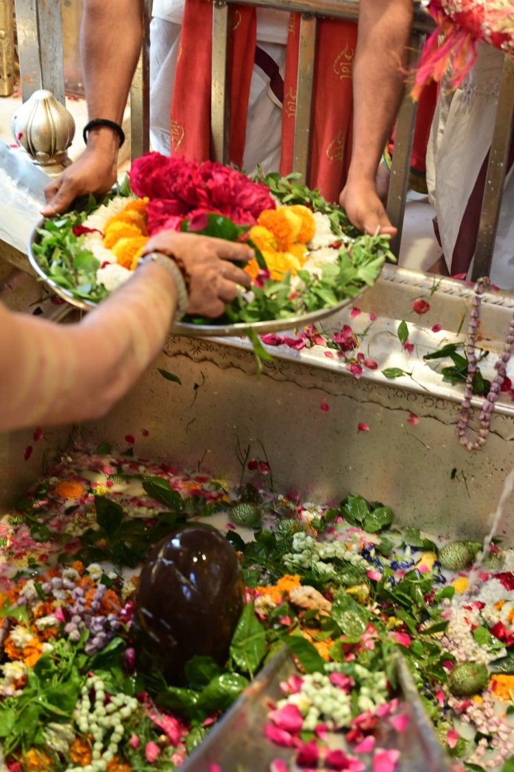 श्री काशी विश्वनाथ धाम से विशालाक्षी गौरी के दरबार में भेजा गया वस्त्र और श्रृंगार सामग्री