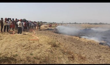 मीरजापुर में आग से 18 बीघा गेहूं की फसल जली