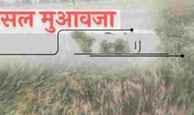 उप्र के किसानों को 04 मई को मिलेगी 122.28 करोड़ रुपये की फसल क्षतिपूर्ति, सभी जनपदों में आयोजित होंगे कार्यक्रम