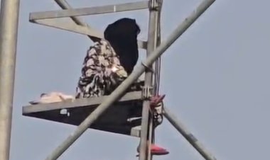 भदोही: इंस्टाग्राम प्रेमी के लिए छोड़ा था घर, अब पति के पास जाने की जिद में मोबाइल टॉवर पर चढ़ी विवाहिता