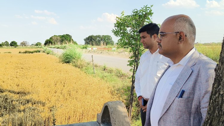 फसल नुकसान पर सख्त प्रशासन, गाटा-वार सर्वे से तय होगी राहत : जिलाधिकारी