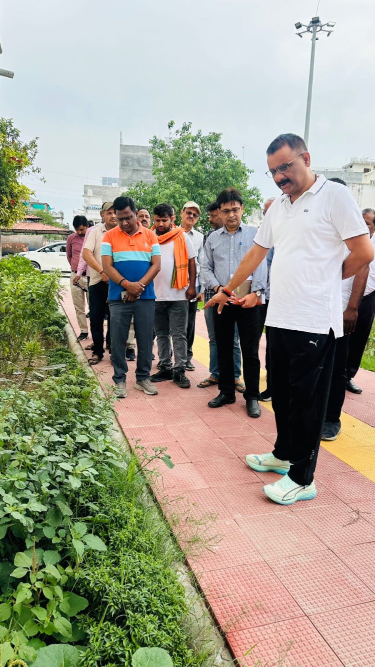 वाराणसी शहर के चौराहों और घाटों को मिलेगी 'ग्रीन शेड' की छाया