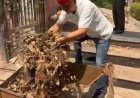 आर्यनगर विधानसभा में सफाई व्यवस्था चौपट, अधिकारी कुंभकर्णी नींद में, होगा जनआंदोलन : विधायक
