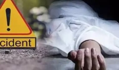 सड़क हादसे में पिता- पुत्र की मौत,महिला घायल