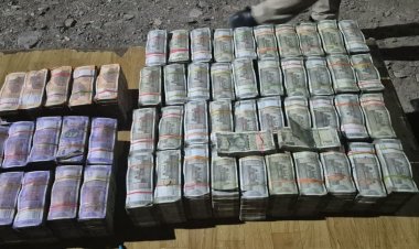 दिल्ली-मुंबई एक्सप्रेसवे पर 2.24 करोड़ की हवाला राशि पकड़ी
