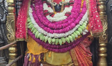 ज्येष्ठ अधिक मास पूर्णिमा पर विंध्यवासिनी धाम में उमड़ा आस्था का सैलाब,दो लाख श्रद्धालुओं ने किए दर्शन