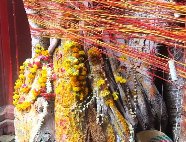 इस बार शनि जयंती के साथ सौभाग्य और शोभन योग में वट सावित्री व्रत रखेंगी सुहागिन महिलाएं