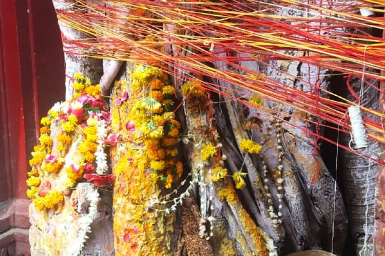 इस बार शनि जयंती के साथ सौभाग्य और शोभन योग में वट सावित्री व्रत रखेंगी सुहागिन महिलाएं