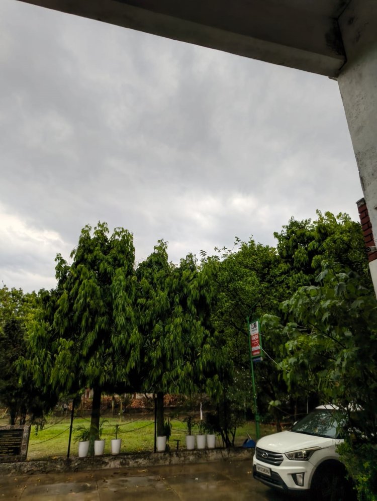 उत्तर प्रदेश में तेज आंधी-पानी से जनजीवन प्रभावित, कई जगह पेड़ उखडे़ और ओले भी गिरे