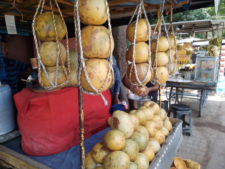 गर्मी के दिनों में बेल के रस का विशेष महत्व, शुगर रोगियों के लिए लाभकारी