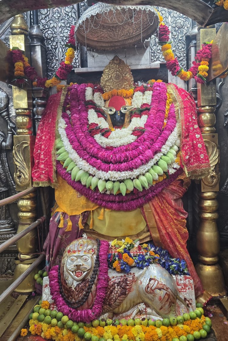 ज्येष्ठ अधिक मास पूर्णिमा पर विंध्यवासिनी धाम में उमड़ा आस्था का सैलाब,दो लाख श्रद्धालुओं ने किए दर्शन