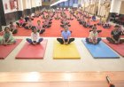 पतंजलि ऋषिकुल में ‘स्वस्थ आयु के लिए योग’ थीम पर हुआ योग दिवस