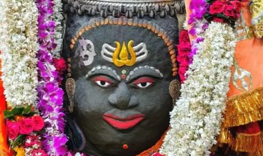 उज्जैन बाबा महाकाल की शरण में पहुंचे फिल्म निर्माता मधुर भंडारकर, जय भानुशाली और आरती सिंह, भस्म आरती में हुए शामिल