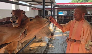 सीएम योगी ने जनता दर्शन में करीब 200 लोगों की समस्याएं सुनीं