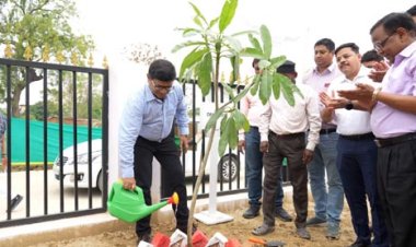 वृक्षारोपण एवं पर्यावरण संरक्षण को जनांदोलन का स्वरूप देना आवश्यक : वंदना अग्रवाल