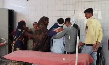 बरगद के पेड़ से टकराया डीसीएम, वाहन में सवार 12 लोग घायल और 20 खच्चरों की मौत