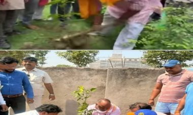 वाराणसी में जनप्रतिनिधियों ने पौधरोपण कर दिया एक पेड़ मां के नाम का संदेश