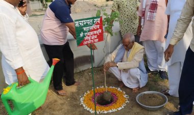 राम मंदिर ट्रस्ट ने कोविदार पौध का किया रोपण