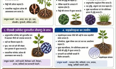 जैविक उर्वरकों के प्रयोग से बढ़ेगी मिट्टी की उर्वरता और फसल उत्पादन : डॉ. निमिषा नटराजन