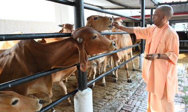 गुड़-रोटी खिलाकर मुख्यमंत्री योगी ने की गोसेवा