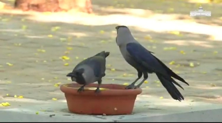 राष्ट्रपति मुर्मु ने पक्षियों के प्रति संवेदनशीलता का दिया संदेश, अमृत उद्यान में रखे गए जलपात्रों का किया उल्लेख