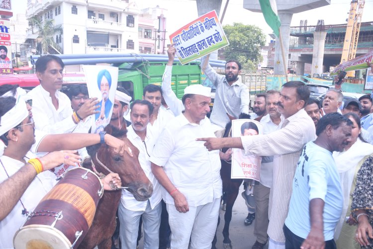 महंगाई और पेपर लीक के खिलाफ कांग्रेस का प्रदर्शन, खच्चरों के साथ जताया विरोध