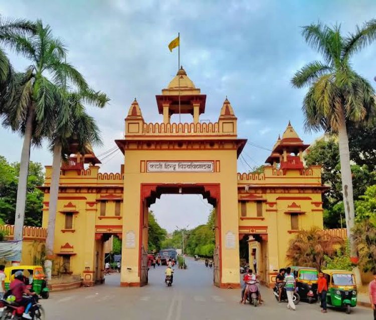आम और जामुन की गलियों से लेकर नीम और गुलमोहर की राहों तक,व्यापक वृक्ष गणना ने बीएचयू की बनाई विशिष्ट हरित पहचान