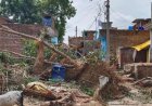 कौशाम्बी में दर्दनाक हादसा: पेड़ काटने के दौरान गिरा बिजली का पोल, 3 वर्षीय मासूम की मौत, एक गंभीर रूप से घायल