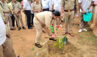 डीएम और एसपी ने लगाया पौधा, बोले—पेड़ लगाना ही नहीं, उसे बचाना भी जिम्मेदारी