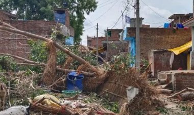 कौशाम्बी में दर्दनाक हादसा: पेड़ काटने के दौरान गिरा बिजली का पोल, 3 वर्षीय मासूम की मौत, एक गंभीर रूप से घायल