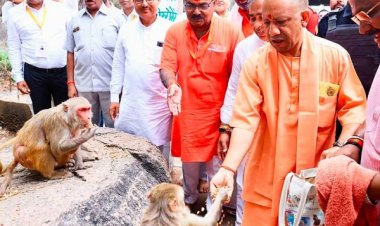 योगी आदित्यनाथ ने की कामदगिरि पर्वत की परिक्रमा, मांगा जनकल्याण का आशीर्वाद