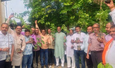 'एक पेड़ माँ के नाम' अभियान: भाजपा प्रयागराज महानगर 12 जुलाई को हर बूथ पर करेगी वृक्षारोपण