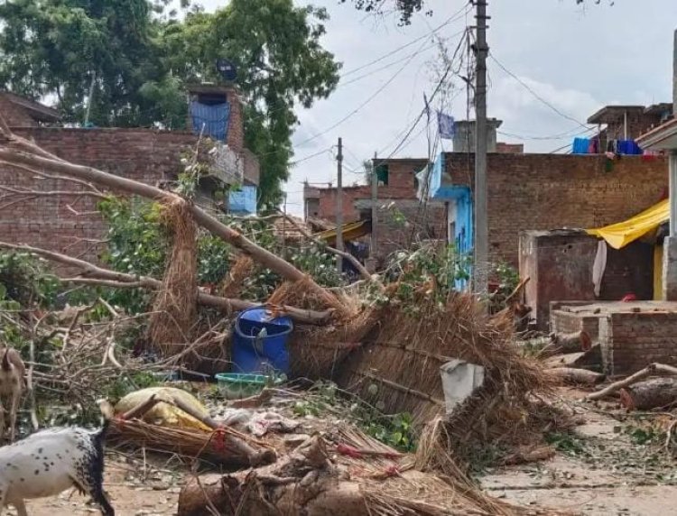 कौशाम्बी में दर्दनाक हादसा: पेड़ काटने के दौरान गिरा बिजली का पोल, 3 वर्षीय मासूम की मौत, एक गंभीर रूप से घायल